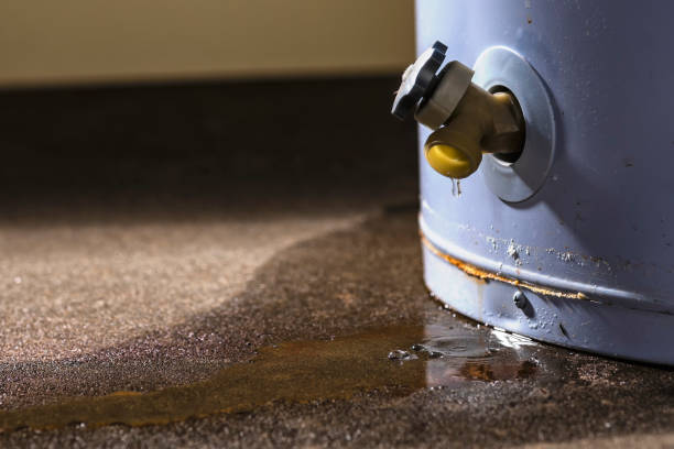 Best Fire Damage Restoration  in Lewisville, NC