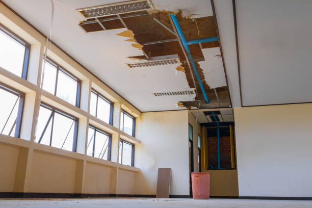 Best Flood damage cleanup  in Lewisville, NC