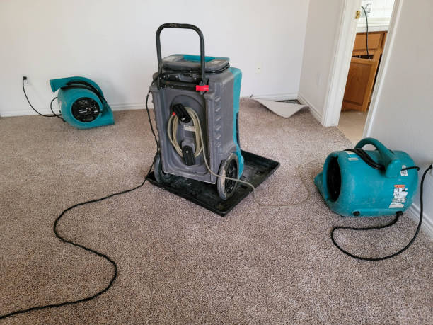 Best Water damage restoration near me  in Lewisville, NC