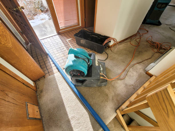 Best Ceiling water damage repair  in Lewisville, NC