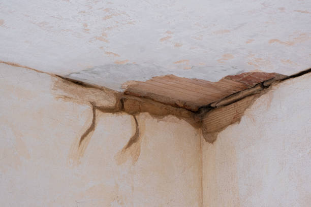 Best Carpet water damage restoration  in Lewisville, NC