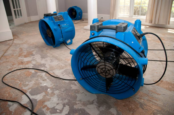 Best Residential water damage restoration  in Lewisville, NC