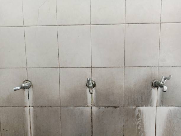 Professional Water damage restoration in Lewisville, NC