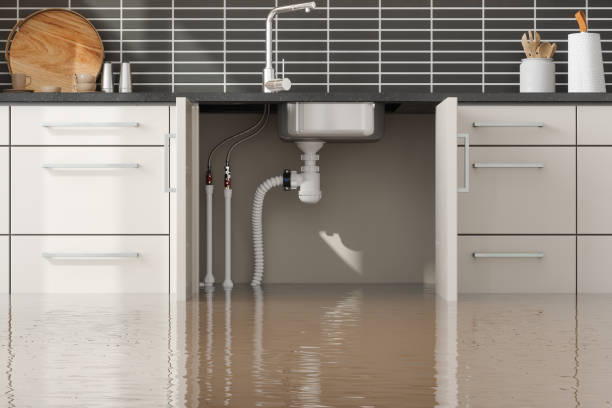 Best Flood damage cleanup  in Lewisville, NC